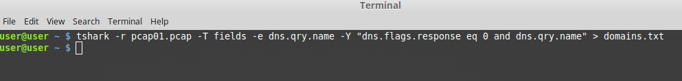 tshark extracting dns request