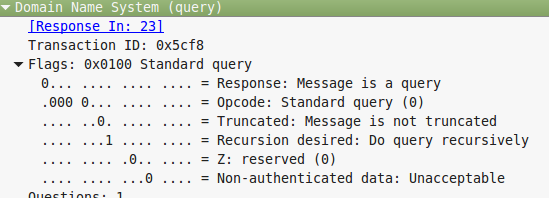 Wireshark DNS response filter